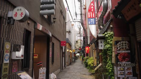 Callejón-Hozenji-En-Dotonbori-Osaka,-Japón