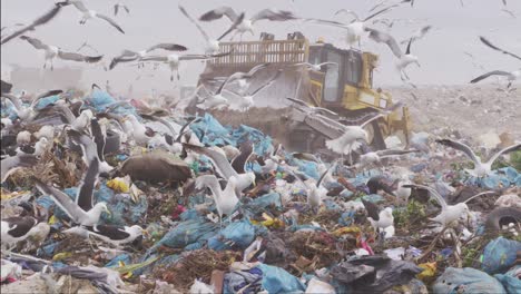 vehicles clearing rubbish piled on a landfill full of trash