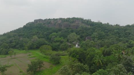 a captivating aerial perspective of a dense, vibrant green forest enveloping large, ancient rock formations in the diverse natural landscape of sri lanka