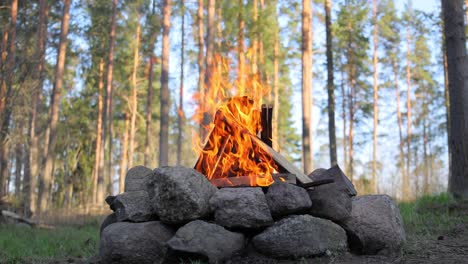 Brennendes-Lagerfeuer-Im-Wald