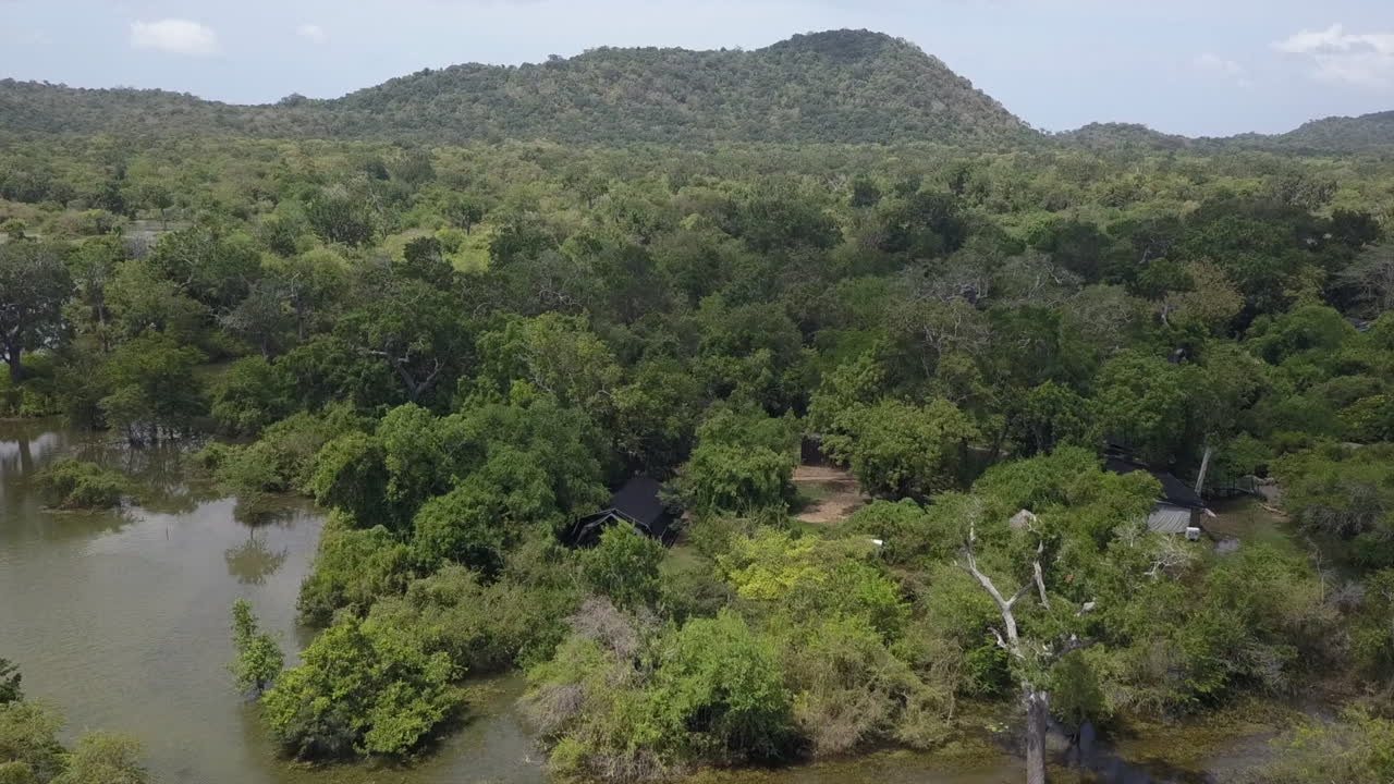 campamento de turismo de órbitas aéreas en pantano pantanoso en el parque yala, sri lanka