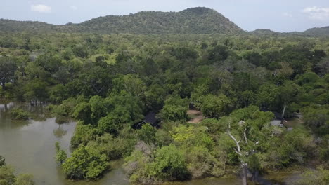 aerial orbits tourism camp on swampy marsh in yala park, sri lanka