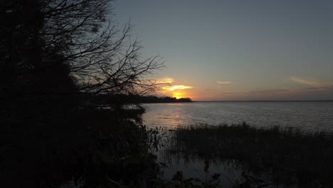 revealing a tranquil sunset over the lake with silhouetted tree