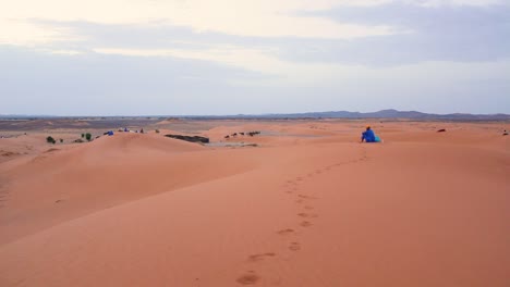 berbere man in the horizon with camel herd walking in the sahara desert, morocco