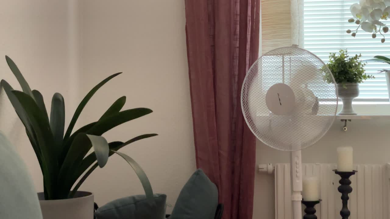 식물에 바람을 불어주는 팬