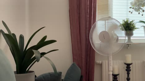 fan blowing air on a plant