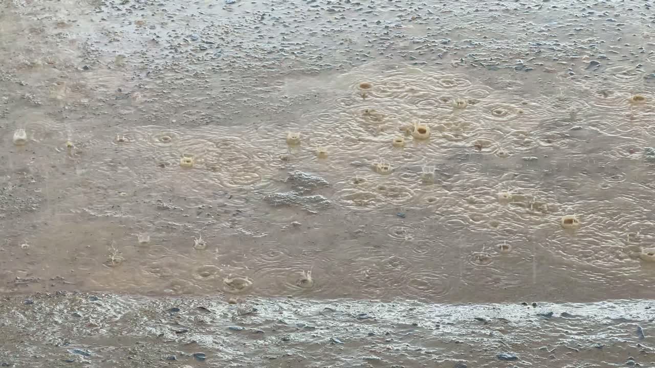 closeup of a heavy rain droplets falling on the puddle of water on concrete creating ripples and small splashes