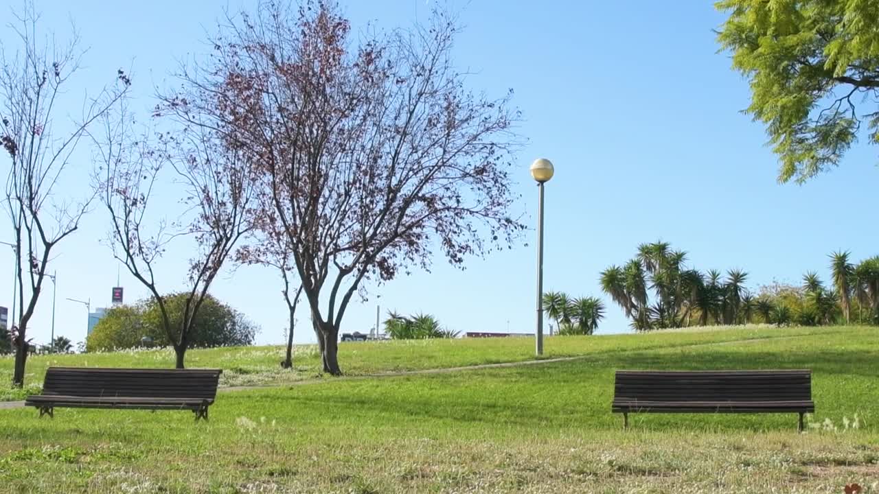 vista de dos bancos vacíos en un parque por la mañana