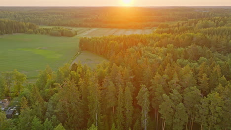 Disparo-De-Drones-Elevándose-Frente-A-Bosques-Iluminados-Por-El-Sol-Y-Campos-Rurales-De-Los-Nórdicos