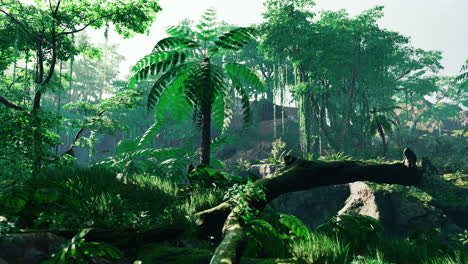 lush tropical jungle landscape