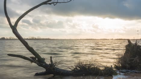 Tree-trunk-washed-ashore,-time-lapse-of-waves-on-beach,-slider-shot