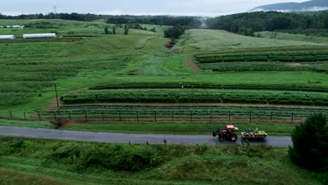 aerial view of tractor pulling a flatbed filled with corn freshly picked from the field