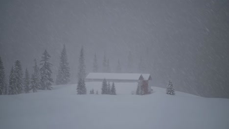snowy mountain cabin in a blizzard