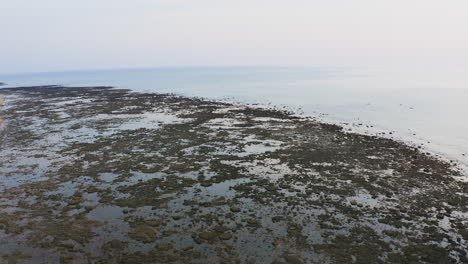 Shallow-seabed-floor-revealed-by-low-tide-on-ocean-coast-of-Thailand