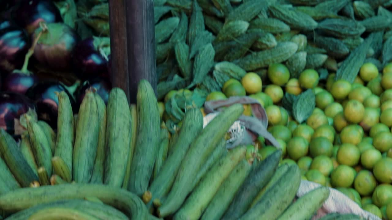 농장에서 가져온 신선한 유기농 스폰지 조롱박은 다른 각도에서 닫힙니다.