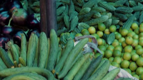 calabaza de esponja orgánica fresca de la granja cerca desde un ángulo diferente
