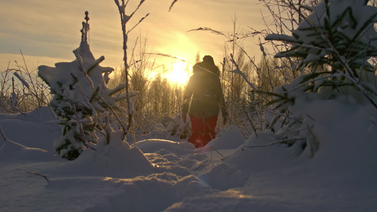 primer plano de una mujer con abrigo negro de invierno, caminando a través de una gruesa capa de nieve blanca rodeada de árboles con el sol poniéndose al fondo en una fría noche de invierno