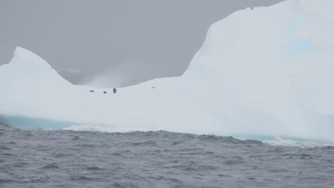 Penguins-on-ice-float-in-Antarctica,-beautiful-white-and-blue-ice-and-snow