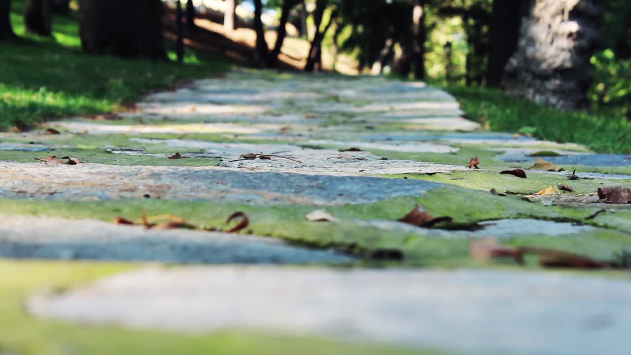 공원에서  ⁇ 고 있는 하이커의 발