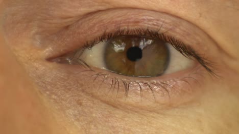 primer plano de un ojo humano europeo abriendo y cerrando