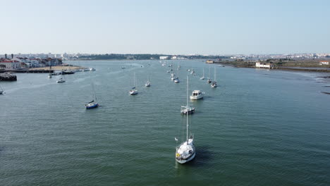 aerial view of boats lined up and anchored in the calm blue sea