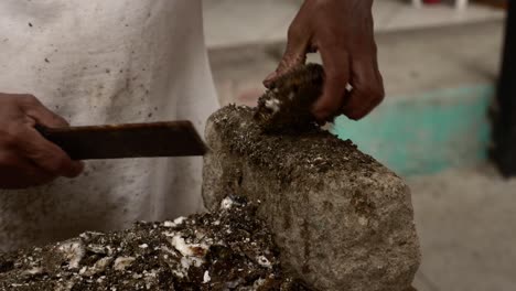 Seaside-chef-prepares-and-cleans-fresh-seafood-and-oysters