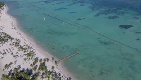 scenic footage from punta cana and the dominican republic, showcasing turquoise caribbean waters, lush jungle, white-sand beaches, and vibrant tropical nature