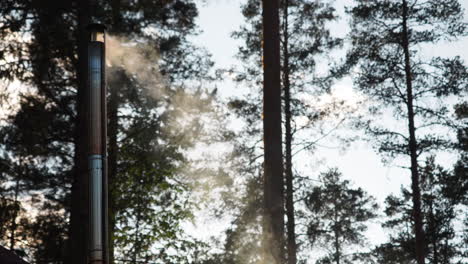 smoke comes out from a high stove chimney in the woods