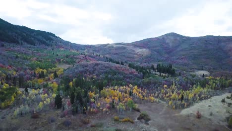 blue-hour-over-marsh-land-in-snow-basin-utah-with-aspens-and-evergreens-in-the-background---AERIAL-DOLLY-TILT