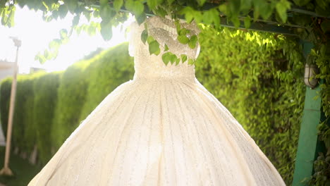 The-bride's-dress-hanging-among-the-plants-in-the-garden---pan-right