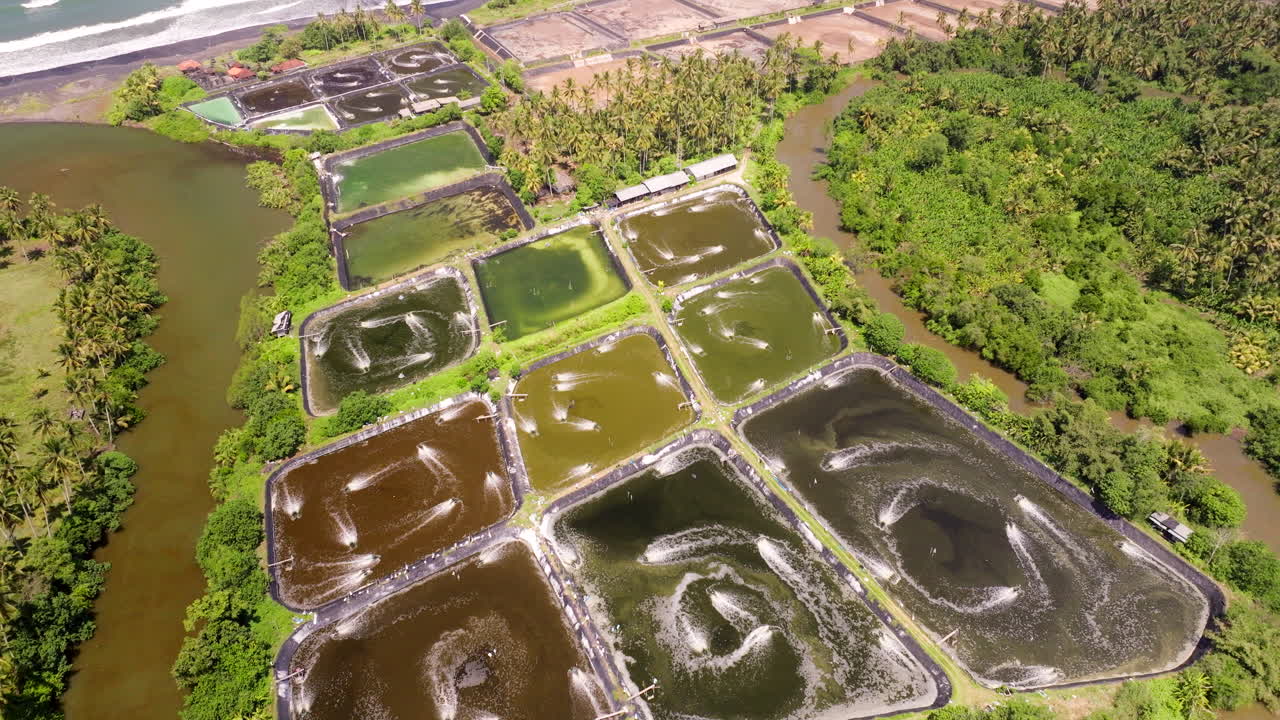 Inland shrimp farming ponds in Bali being aerated at surface, aerial view