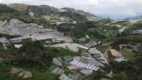 general landscape view of the brinchang district within the cameron highlands area of malaysia