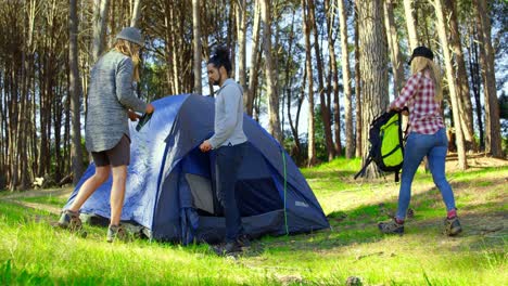 Amigos-Montando-Una-Tienda-De-Campaña-En-El-Bosque-En-Un-Día-Soleado-4k