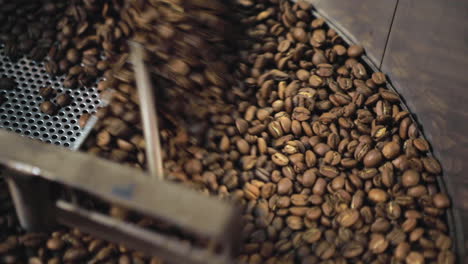 a batch of freshly roasted coffee beans in an industrial blender