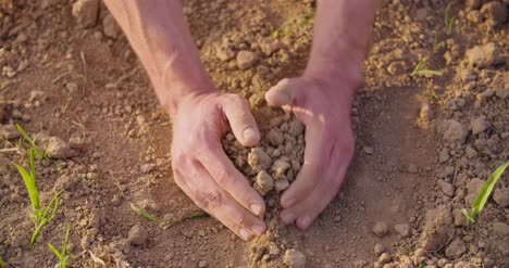 agricultor examinando suelo seco 4