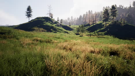 beautiful mountains landscape in carpathian
