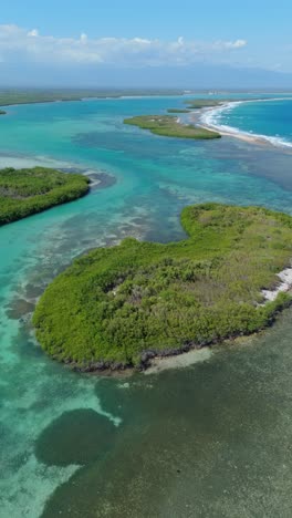 aerial view small mangrove island at beach caobita, exotic landscape panorama