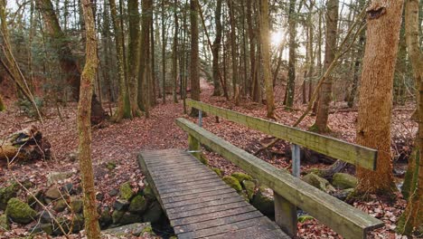 Der-Fluss-Im-Herbstwald-Und-Die-Sonne,-Die-Durch-Das-Laub-Scheint