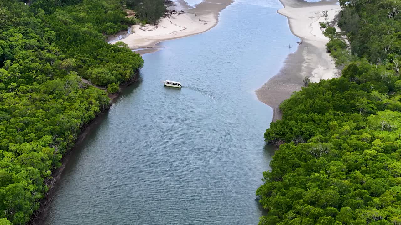 Small boat travels along winding river bordered by dense mangrove forest, aerial perspective, daylight