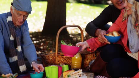 multi generation family taking picnic