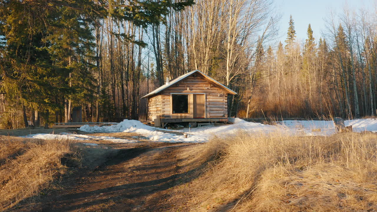 empuje suave hacia una pequeña cabaña de troncos en un hermoso entorno forestal