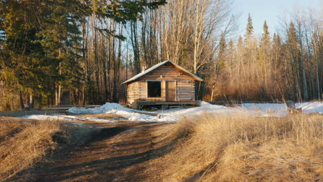 smooth push towards small log cabin in beautiful forest setting