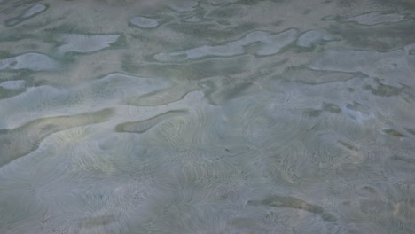 a person swimming freestyle in water