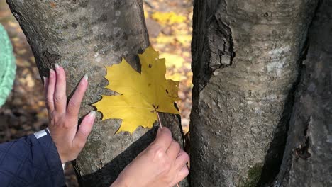 woman finding bright yellow maple leaf in autumn forest, positive thinking