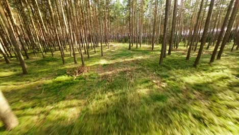 El-Metraje-Es-La-Forma-Perfecta-De-Incorporar-La-Belleza-Y-La-Tranquilidad-De-La-Naturaleza-A-Tus-Proyectos-De-Vídeo.