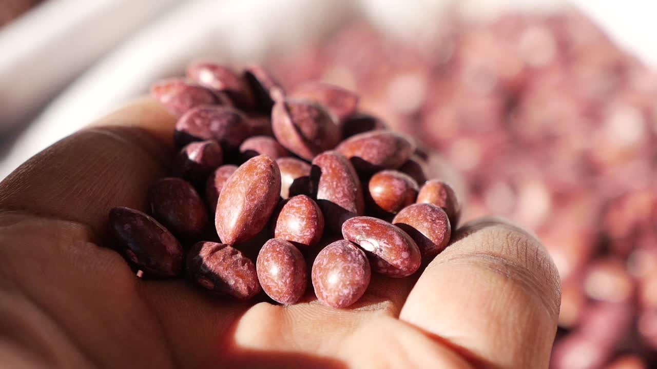 Close-up of a Handful of Red Beans