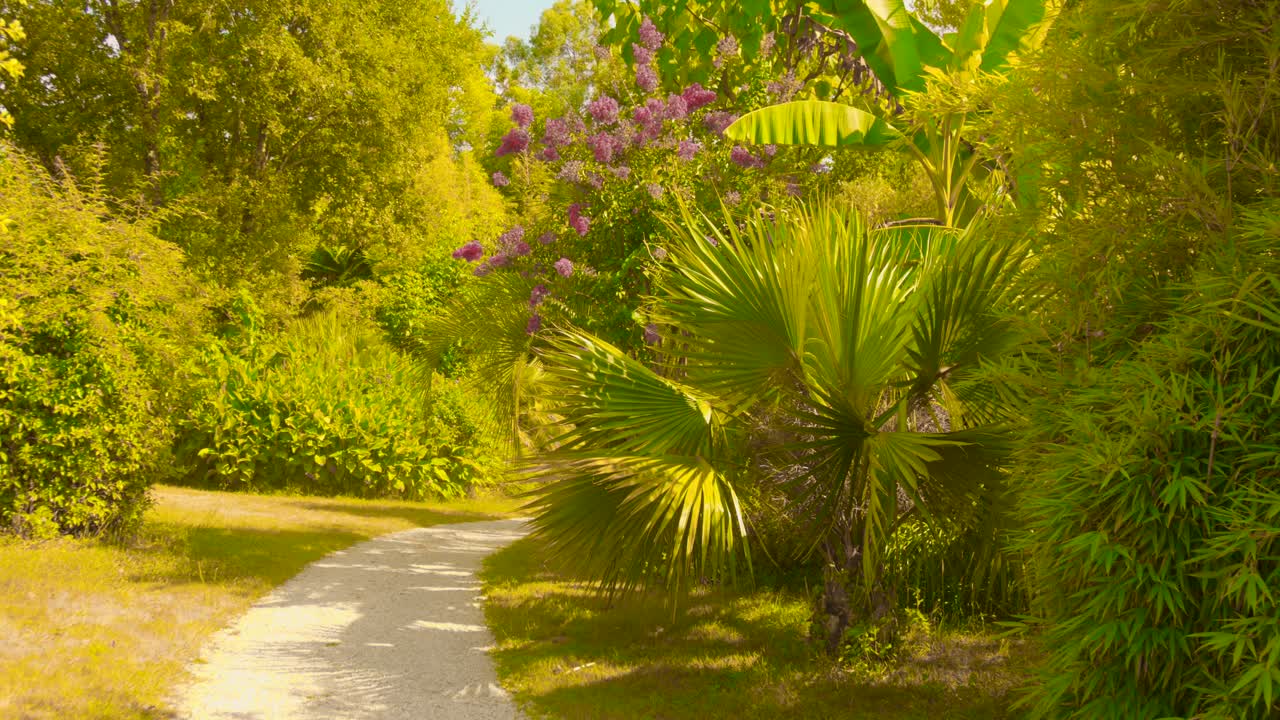 A beautiful exotic garden at Palmeraie du Sarthou, France