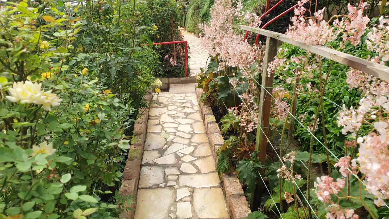 マレーシアのキャメロンハイランドの美しい花々と芝生。