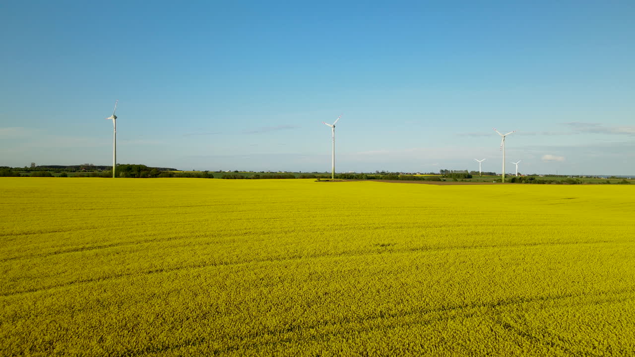 공중 크레인 샷 - lebcz 폴란드 - 풍력 터빈은 강간 종자 - 농업 및 전력 산업 개념의 분야를 줄입니다.