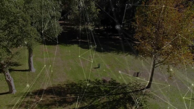 Network overlay shifting over canopy then camera ascending revealing clearing with bench, trash can